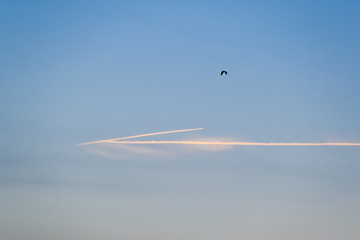 Contrail from airplane on a blue sky against a sunset.