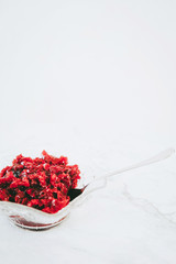 Delicious bowl of raspberry jelly