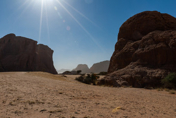 Natural rock formations and trees in sunny day, Ennedi Plateau in Sahara dessert, Chad, Africa