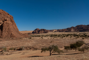 Fototapeta na wymiar Natural rock formations and trees, Ennedi Plateau in Sahara dessert, Chad, Africa