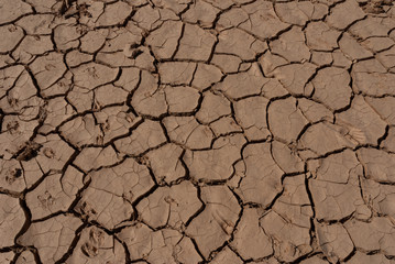 Desert dry and cracked ground, Chad. Africa