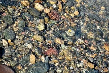 Colorful pebbles at the bottom of the river