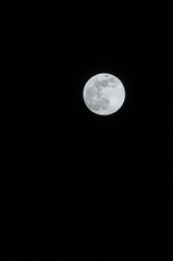 full moon in the night sky vertical