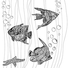 Ocean fish and plants isolated on white background. Coloring book page design for adults and kids. Sea life scuba diving illustration. Page for adult coloring book. The seabed with fish and algae in d