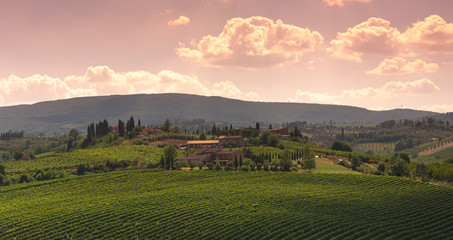 Obraz premium beautiful tuscany hills, view of the vineyards