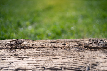 Wooden floorboard on blur abstract green from garden in the morning background. For montage product display or design key visual layout 