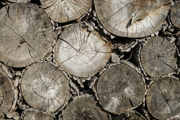 Naklejka premium stack of weathered wooden logs