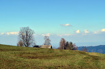 Frühlingslandschaft auf dem Geiersnest im Schwarzwald