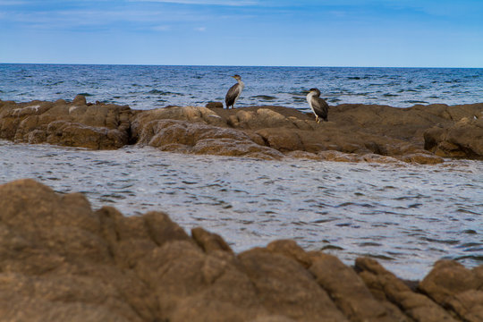 Sardinien Urlaub am Meer und herrliche K&uuml;ste