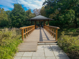 Obraz premium wooden bridge with bover over the river