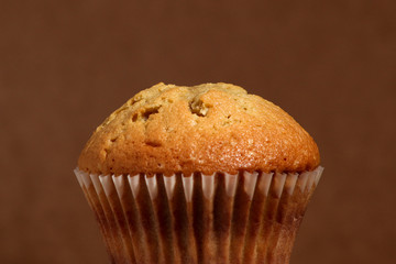 Chocolate Chip Muffin