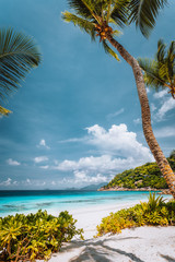 Tropical sandy beach with blue ocean and palm trees at Mahe island, Seychelles. Carefree relax travel concept