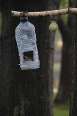 Hanging plastic bottle