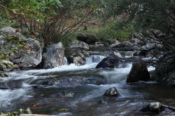 Rocky Mountain waterfalls and streams with smooth flowing water over boulders in pine trees