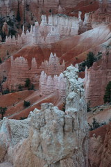Bryce Canyon Utah pink cliffs and Hoodoospatches of gree