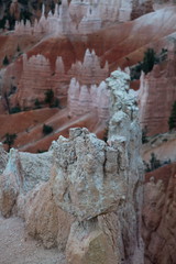 Bryce Canyon Utah pink cliffs and Hoodoospatches of gree