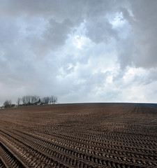 spring arable field of agricultural field while preparing land for sowing, with cloudly sky