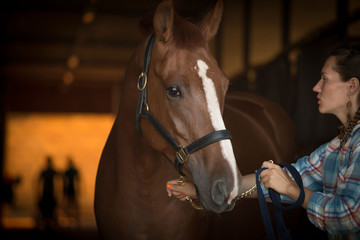  Woman and horse. Close up