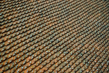 old roof tiles with coins