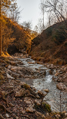 Obraz premium Parco delle Fucine,Lovely place in val Sabbia. Park with refreshment point and refuge at 800m. Dec-29-2019