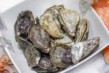 Fresh oysters on the counter in the store. Close-up.