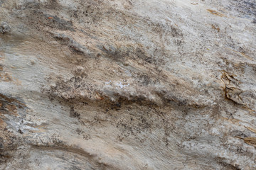 Texture of Eroded Wood
