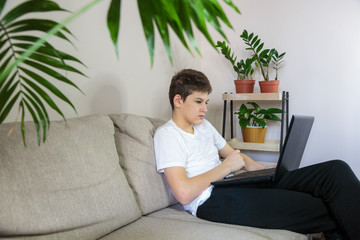 Cute young boy white t shirt sitting on the couch in the living room with laptop and study. Home education, self education by  kids.