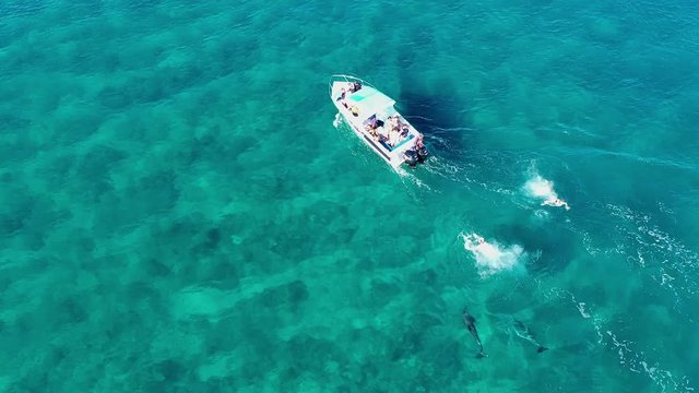 a small motorboat drives over a coral reef with dolphins at Flic en Flac, Mauritius, Africa