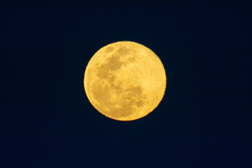 Obraz premium luna llena