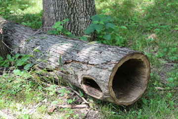 Still useful even when fallen