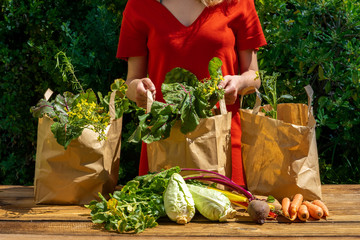 Une jeune fille en robe rouge tient un des trois sacs remplis de légumes du jardin

