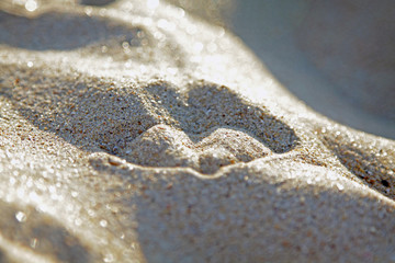 Trail of seagulls in the sand