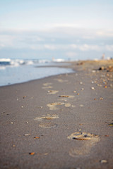 Footprints on the sea sandy shore