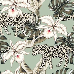 Wallpaper murals Orchidee Tropical leopard animal, orchid flowers, palm leaves, green background. Vector seamless pattern. Graphic illustration. Exotic jungle plants. Summer beach floral design. Paradise nature