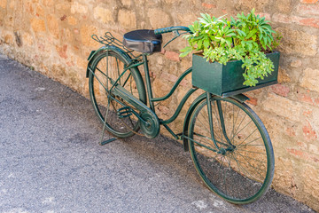 Fototapeta na wymiar retro bicycle with basket with green plants on the street in village in Tuscany
