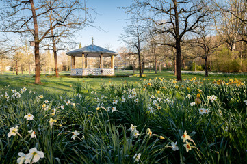 Impressionen Schlosspark Bad Mergentheim im Frühling