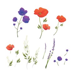 Red poppies. Poppy wreath. Wildflowers. Summer is coming. Vector illustration in flat style. Set of floral elements for design and decoration.
