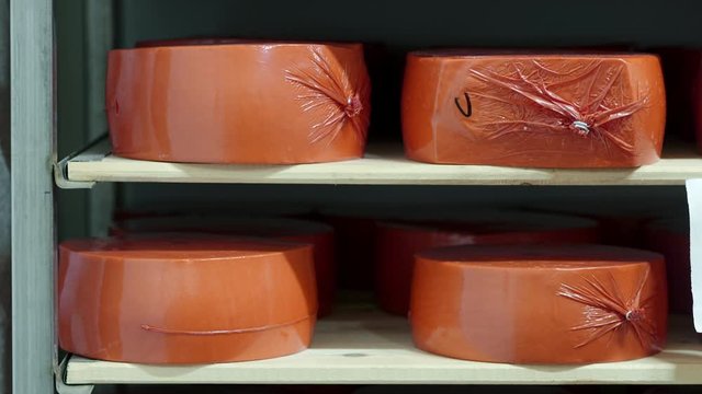 Round Form Cheese Wheels on the Shelf Parmezan Production in a Modern Plant of Milk Product Manufacture Food Orange Covering Storage Warehouse Panoramic Close Up