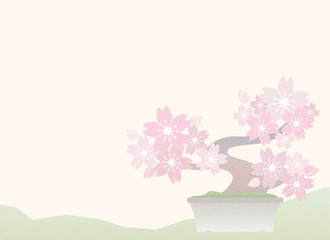 Japanese traditional  Bonsai illustration of sakura tree  background 