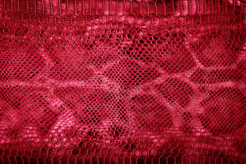 Snake skin red background. Red Leather texture. Flat lay, top view, copy space