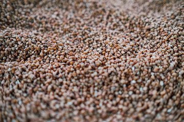 A lot of buckwheat seeds close up. The most popular to buy in Russia during covid-19 outbreak  