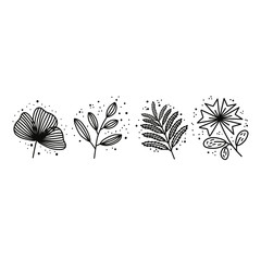 Plants and botanical illustrations on a white background. Simple vector illustration.