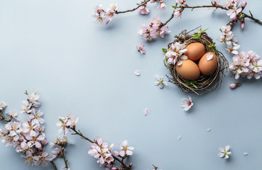 Easter eggs in nest and pink flowering sakura branches on light blue background. Happy Easter holiday, top view, flat lay