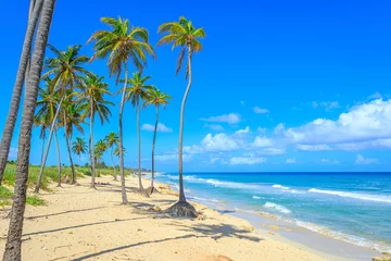  Havana Cuba Playa Santa Maria Beach © Brice