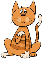 surprised cat or kitten cartoon animal character
