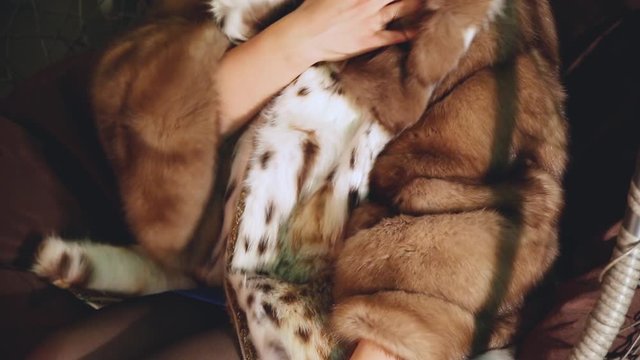 woman in fur coat