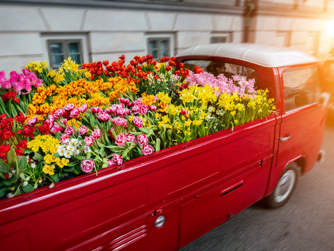  Car loaded with flowers