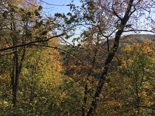 Natura we własnej osobie