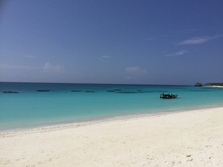 Fototapeta na wymiar Tropical Beach in Zanzibar 