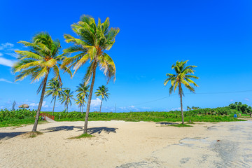 Havana Cuba Playa Santa Maria Beach